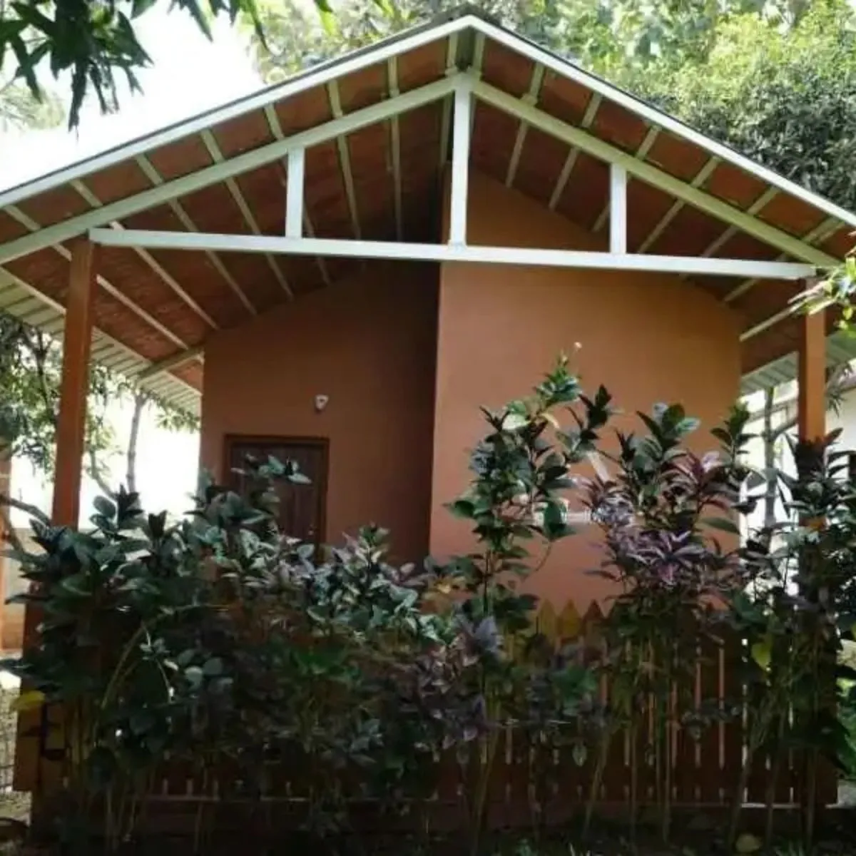 Couple hut exterior with sloping wooden roof and plants