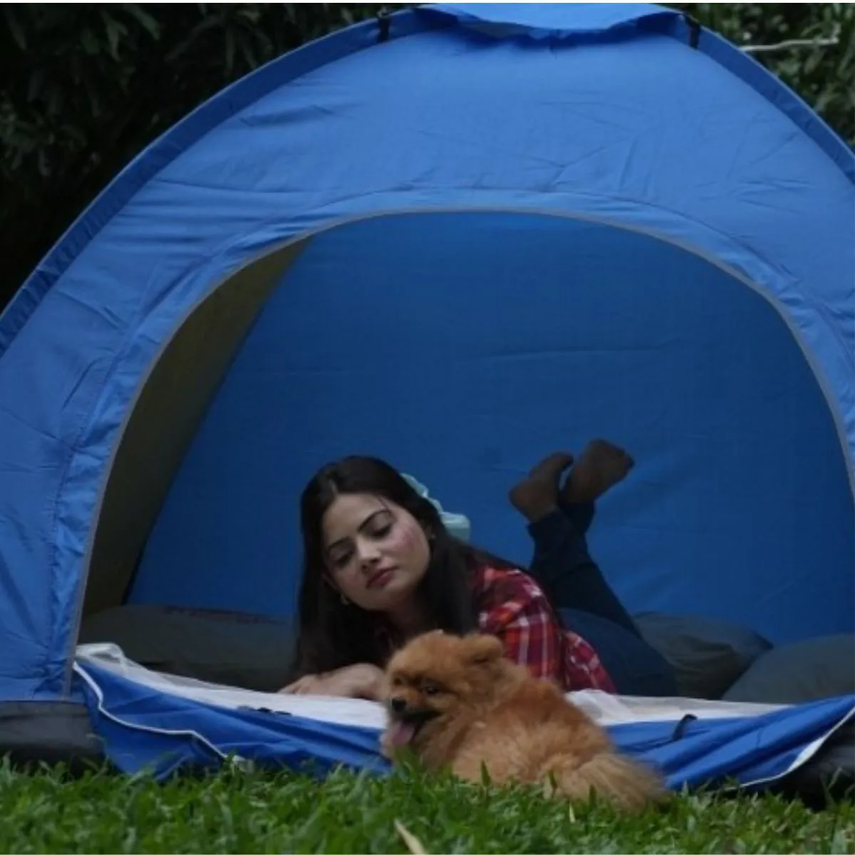 Misty Camping