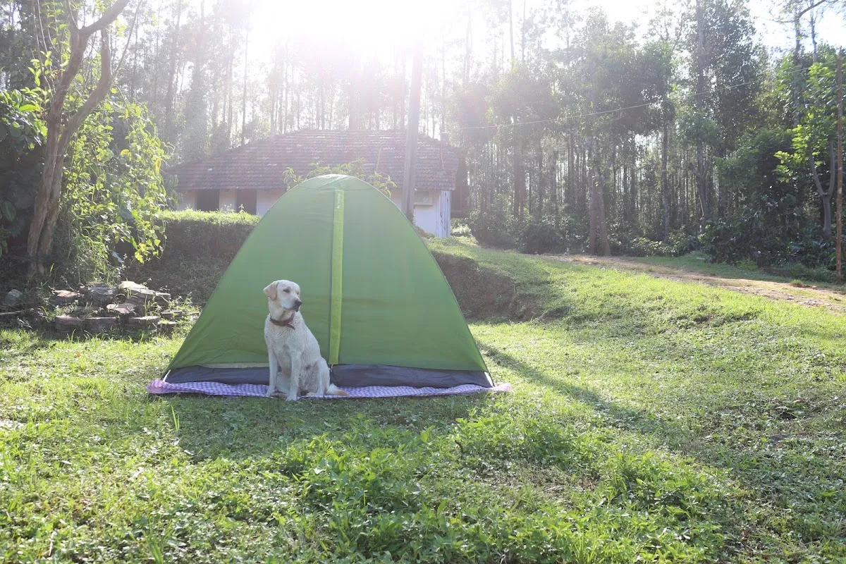 CAMP ALPHA, Chikmagalur