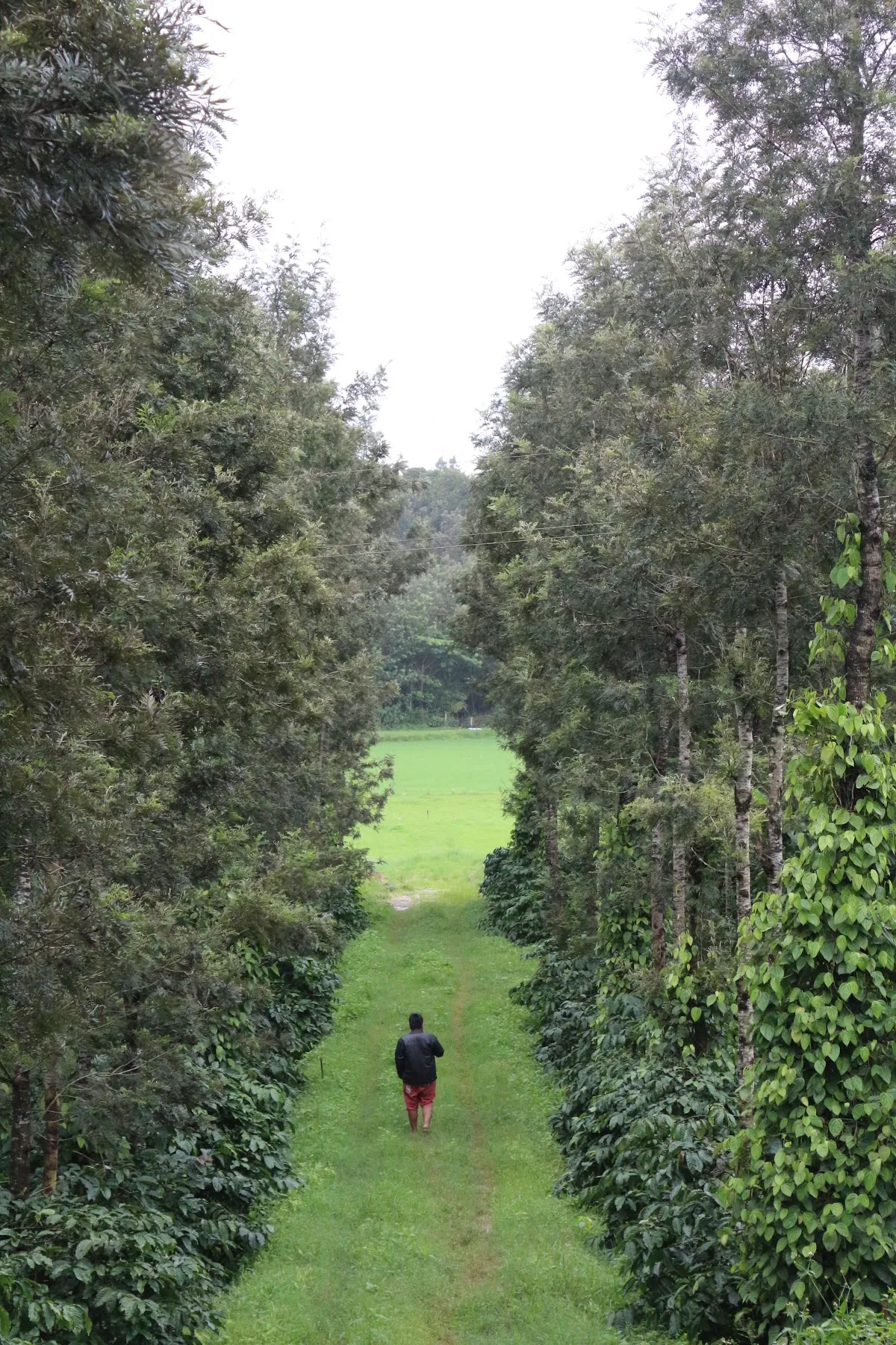View photo 6: CAMP ALPHA, Chikmagalur
