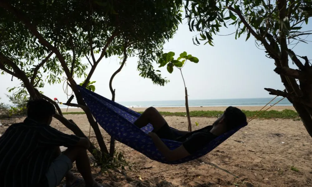 View photo 5: Borrbo Hostel Gokarna, Gokarna