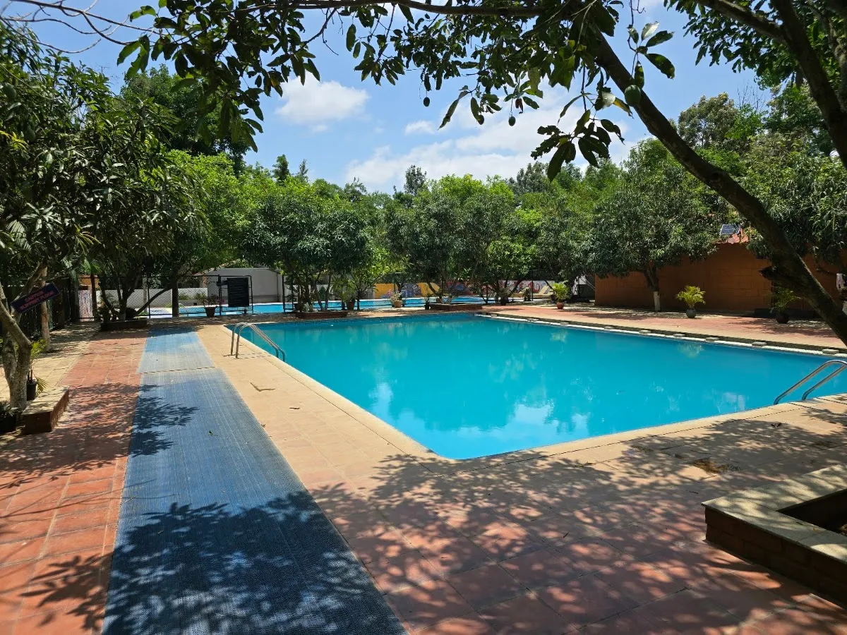 View photo 3: Suggee, Bengaluru
