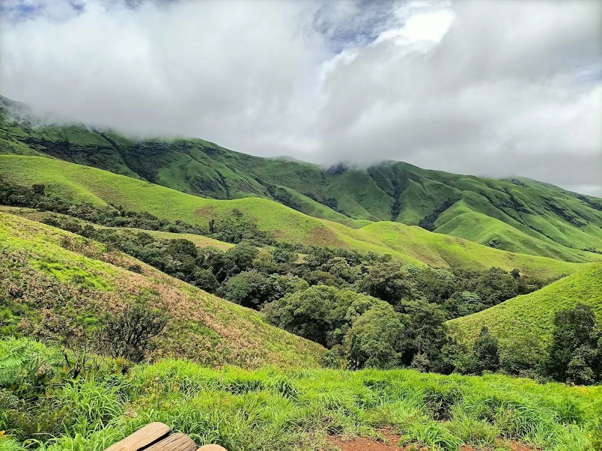 Kudremukh National Park
