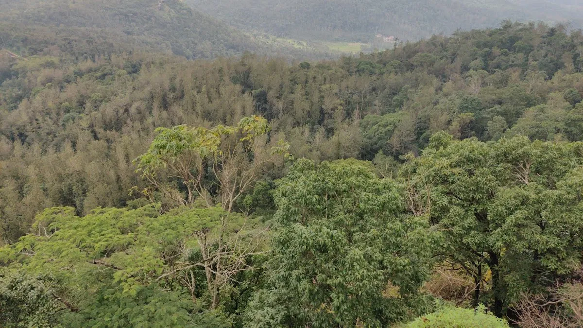 Ranganabetta