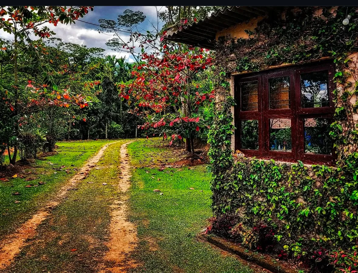 Bhadra Nature Camp, Devadana, near Bhadra Wildlife Sanctuary