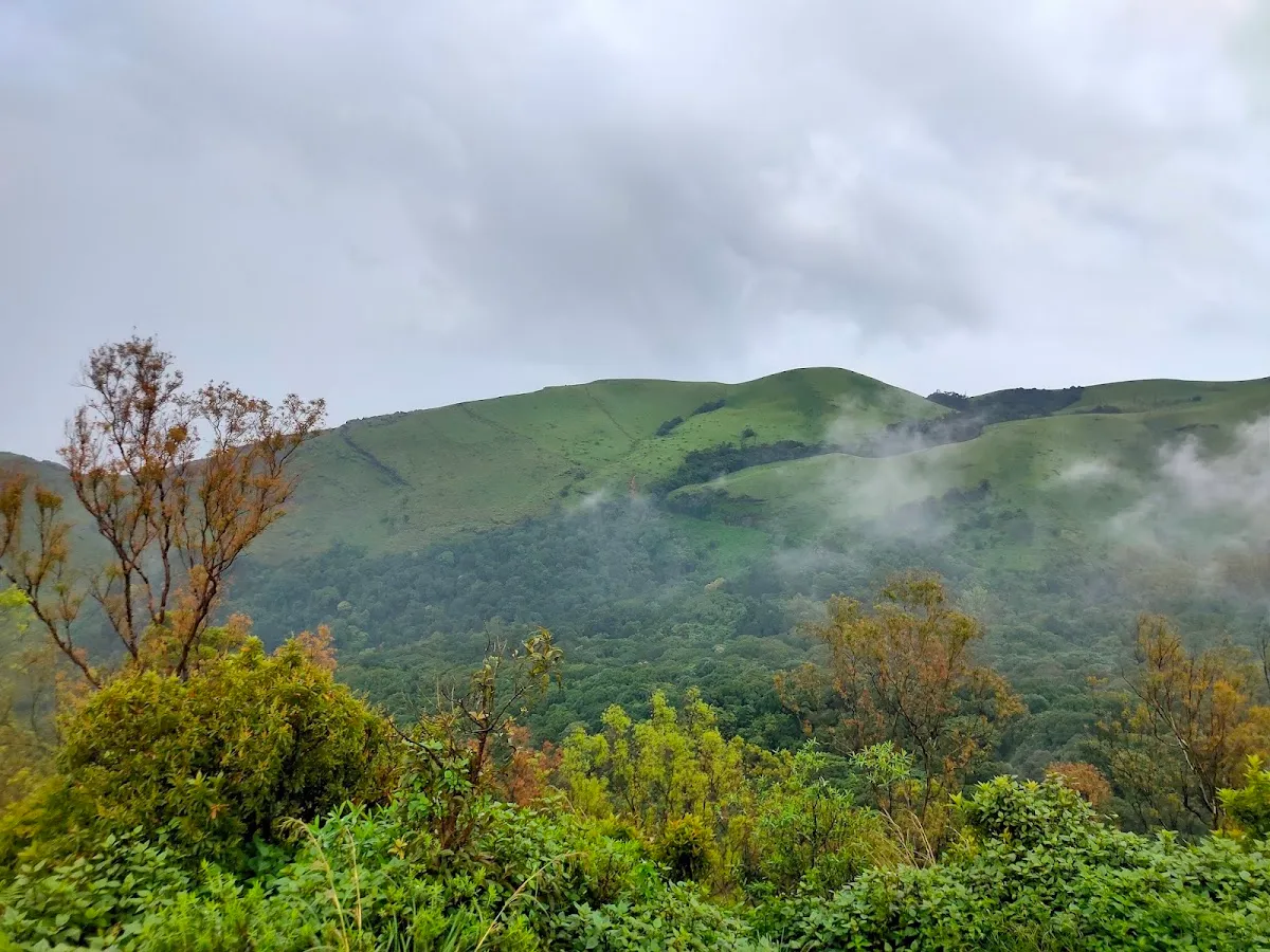 Sri Krishna Rajendra Botanical Garden, Kemmangundi