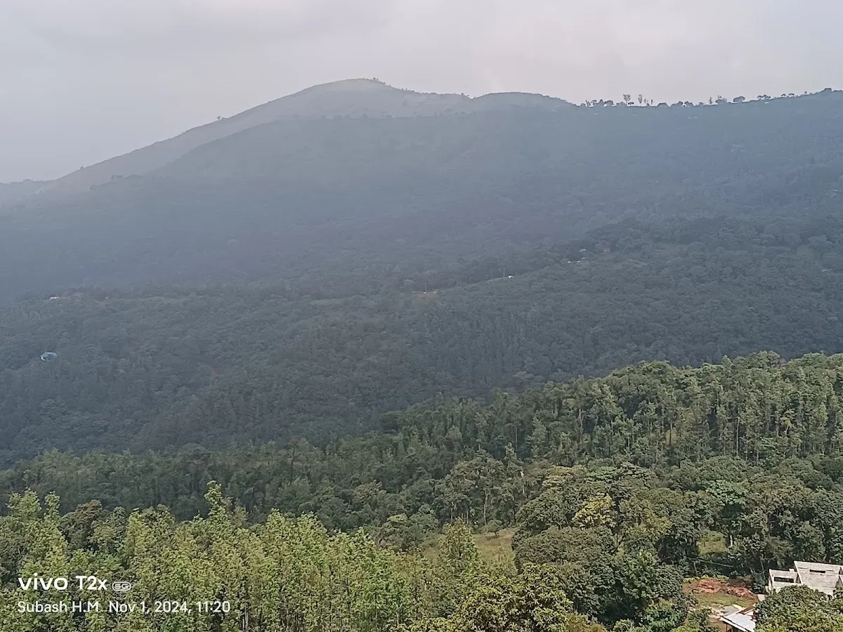 Attigundi View Point